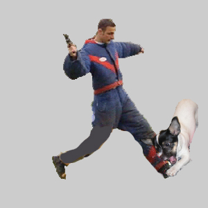 sh7.jpg